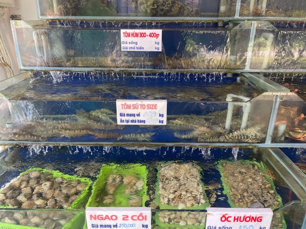 huong-my-tran-5-1688706650.jpg