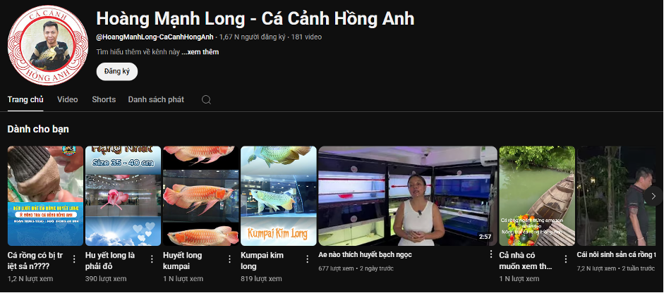 ca-rong-hong-anh4-1745045032.png