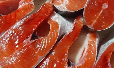 Cao Văn Cương: Làm sao để nhận biết cá hồi tươi ngon? Góc nhìn từ người trong nghề