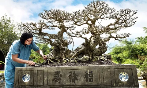 Ai là chủ nhân của tác phẩm Sanh cổ Song Long Tọa Thạch