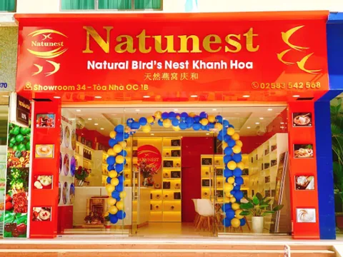 Người người đổ xô đi bán yến sào tại nhà