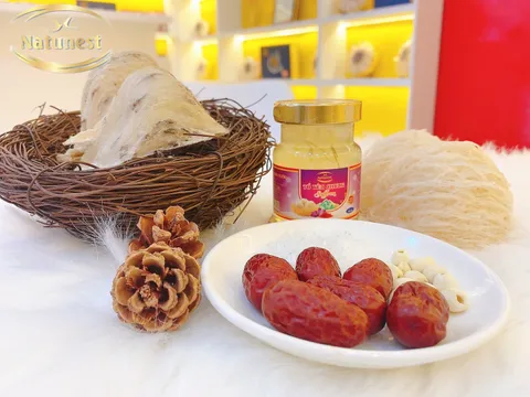 Những điều bạn chưa biết về yến sào Nha Trang