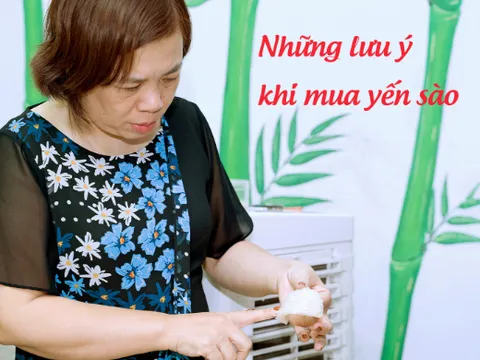 Top 5 điều người mua yến cần lưu ý