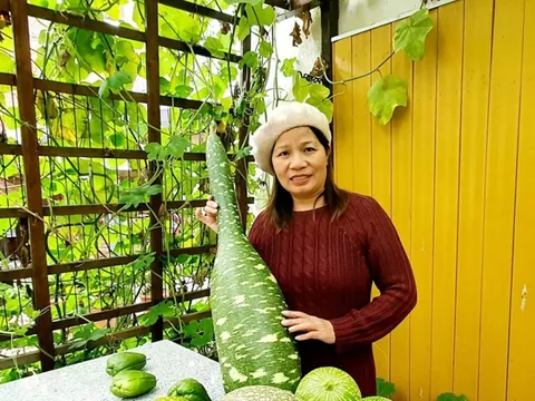 Nữ YouTuber người Việt ở Đức nổi tiếng qua các video chia sẻ các món ăn Thuần túy bếp Việt