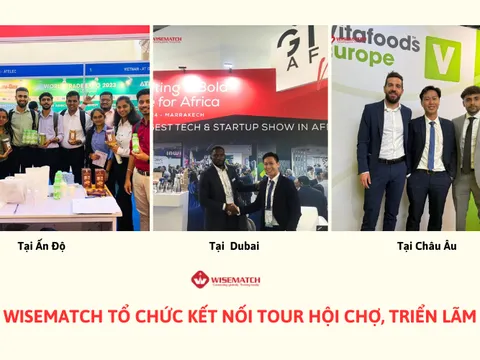 Wisematch - Đơn vị tư vấn xuất khẩu uy tín tại Việt Nam