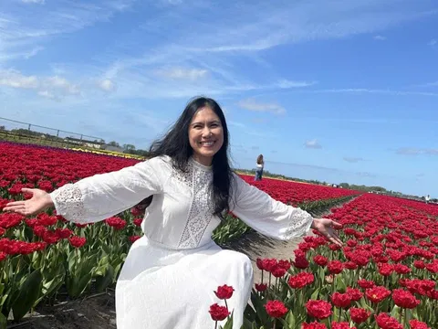 Youtuber Linh Hà Lan: Hành Trình Và Những Ngã Rẽ Cho Cuộc Sống Hiện Tại