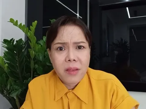 Việt Hương tức giận: "Lớn ăn nói văn hóa tí, có pháp luật lo chị lo chi cho cực"