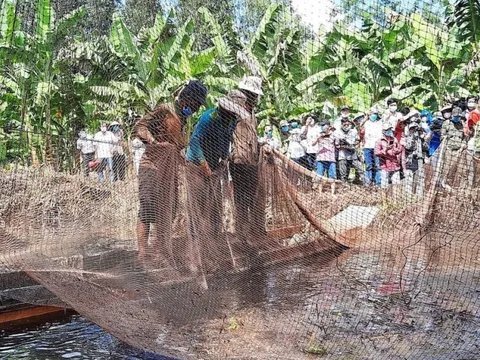 “Hương rừng U Minh”: Nét đặc trưng của vùng sông nước Cà Mau