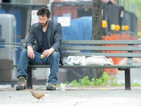 Chuyện về những ngôi sao đẳng cấp thế giới