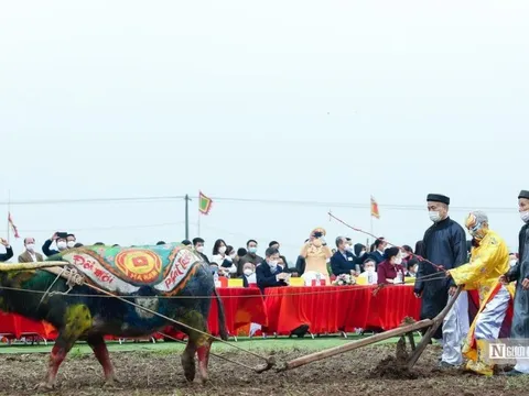 Chật cứng người xem "vua đi cày" tại Lễ Tịch điền Đọi Sơn