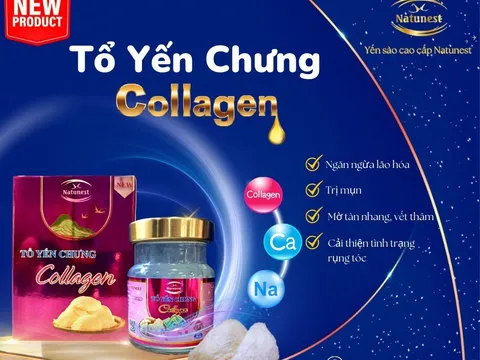 Tổ yến chưng collagen - đứa con tinh thần mới nhà Natunest