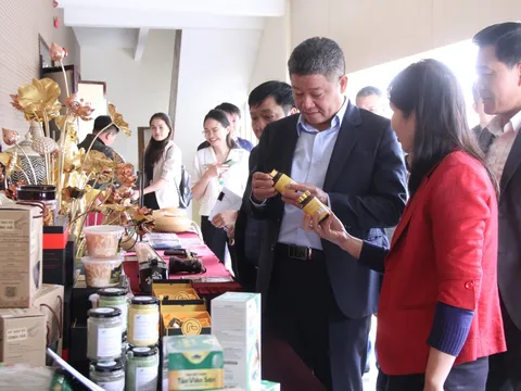 Phó Chủ tịch UBND thành phố Hà Nội Nguyễn Mạnh Quyền: Phát triển sản phẩm OCOP phải gắn với liên kết chuỗi giá trị để phát triển bền vững