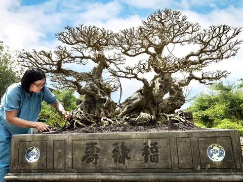 Ai là chủ nhân của tác phẩm Sanh cổ Song Long Tọa Thạch