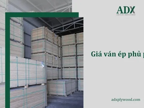 Báo giá ván ép phủ phim chất lượng cao - ADX Plywood