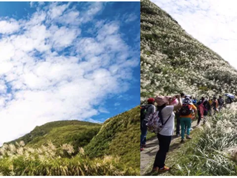 Xứ Đài mùa thu đông - Thiên đường cho người yêu hoa